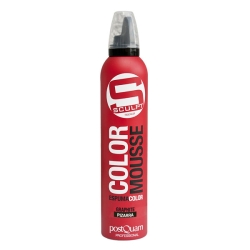 COLOR MOUSSE (300 ML.)