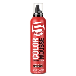 COLOR MOUSSE (300 ML.)