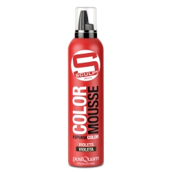 COLOR MOUSSE (300 ML.)