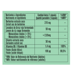 HOLESTÉROL FORT