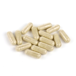 HEPATOPLAN FORTE 30 CAPSULAS