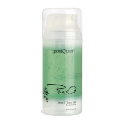 GEL PURIFICANTE PURE O2 100ML